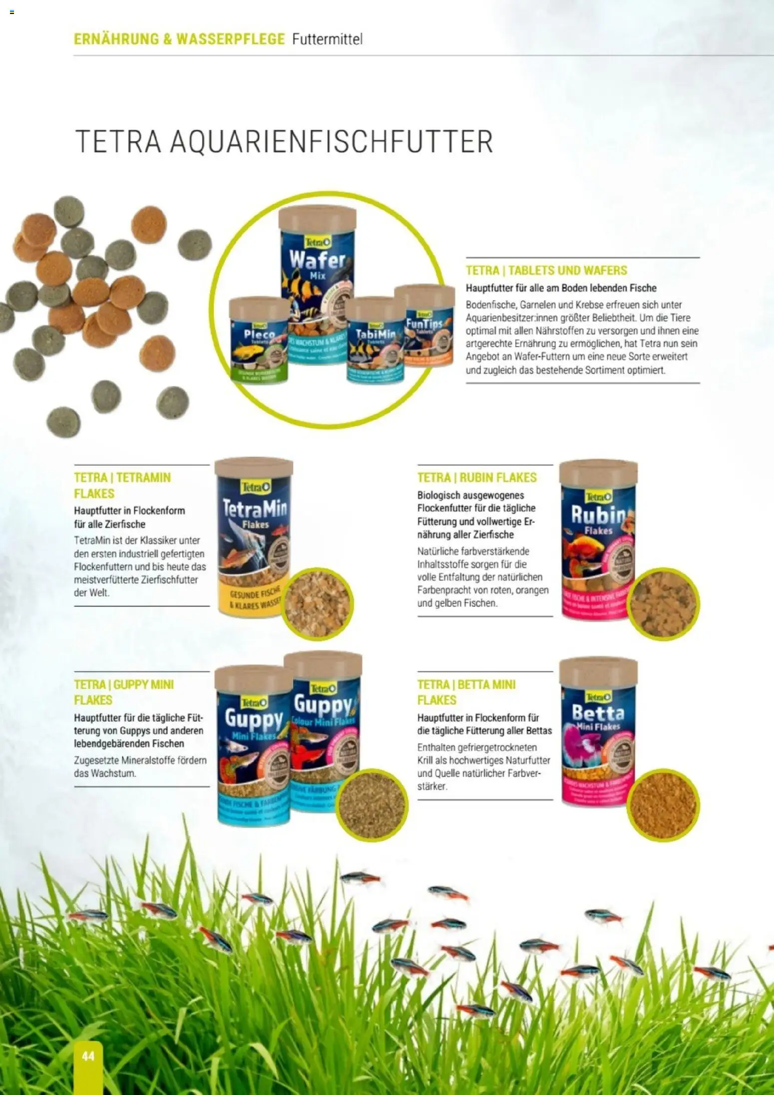 zookauf Themenkatalog Aqua – gültig ab 01.10.2026 | Seite: 44 | Produkte: Orangen, Garnelen, Wasser