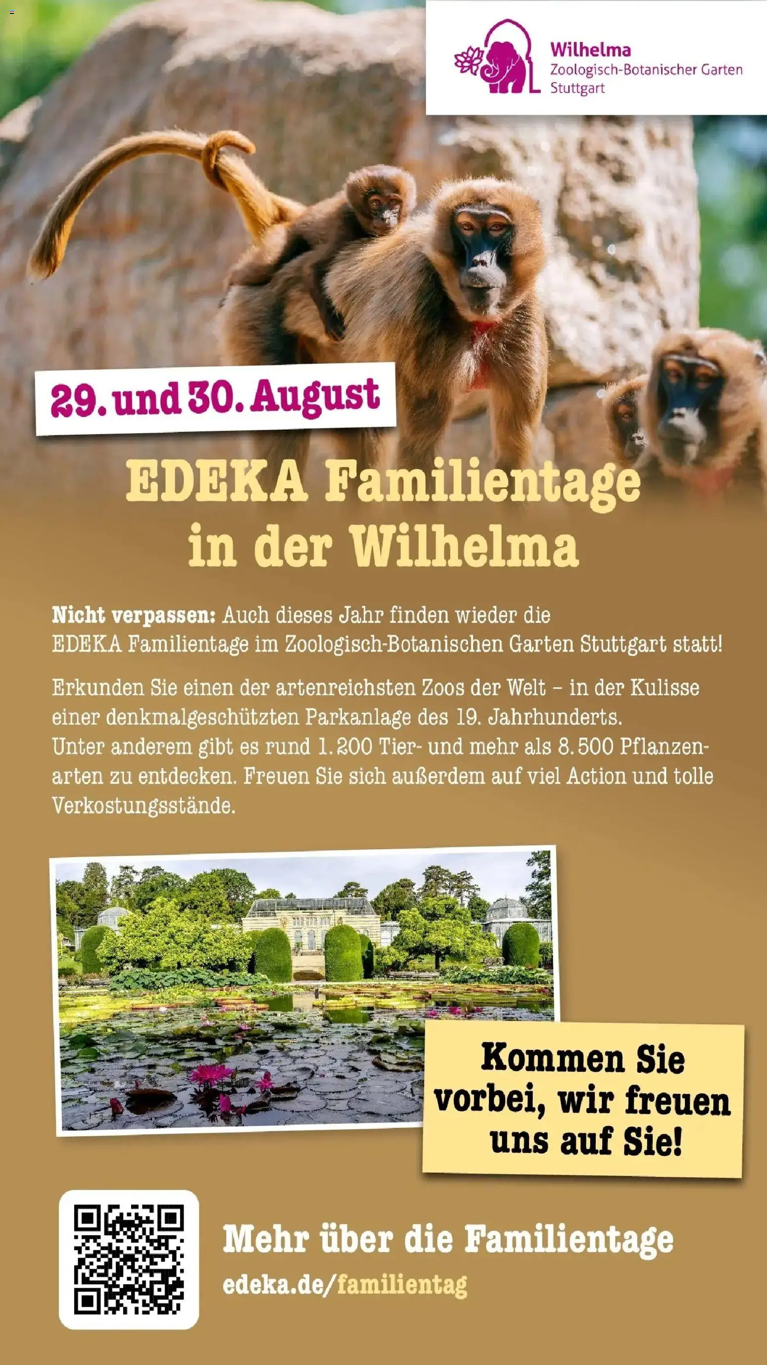 Edeka Prospekt Heidelberg – gültig ab 27.07.2026 | Seite: 67