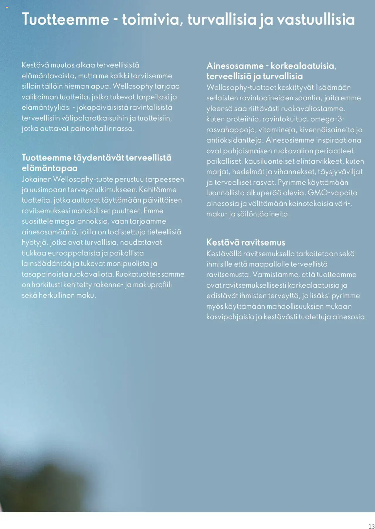 Oriflame Norrsken Winter Collection – voimassa 25.01.2024 alkaen | Sivu: 13