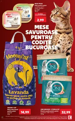 Ofertele Kaufland valabile de la 23.09.2026 | Pagină: 62 | Produse: Dovleac, Vită, Pate, Iaurt