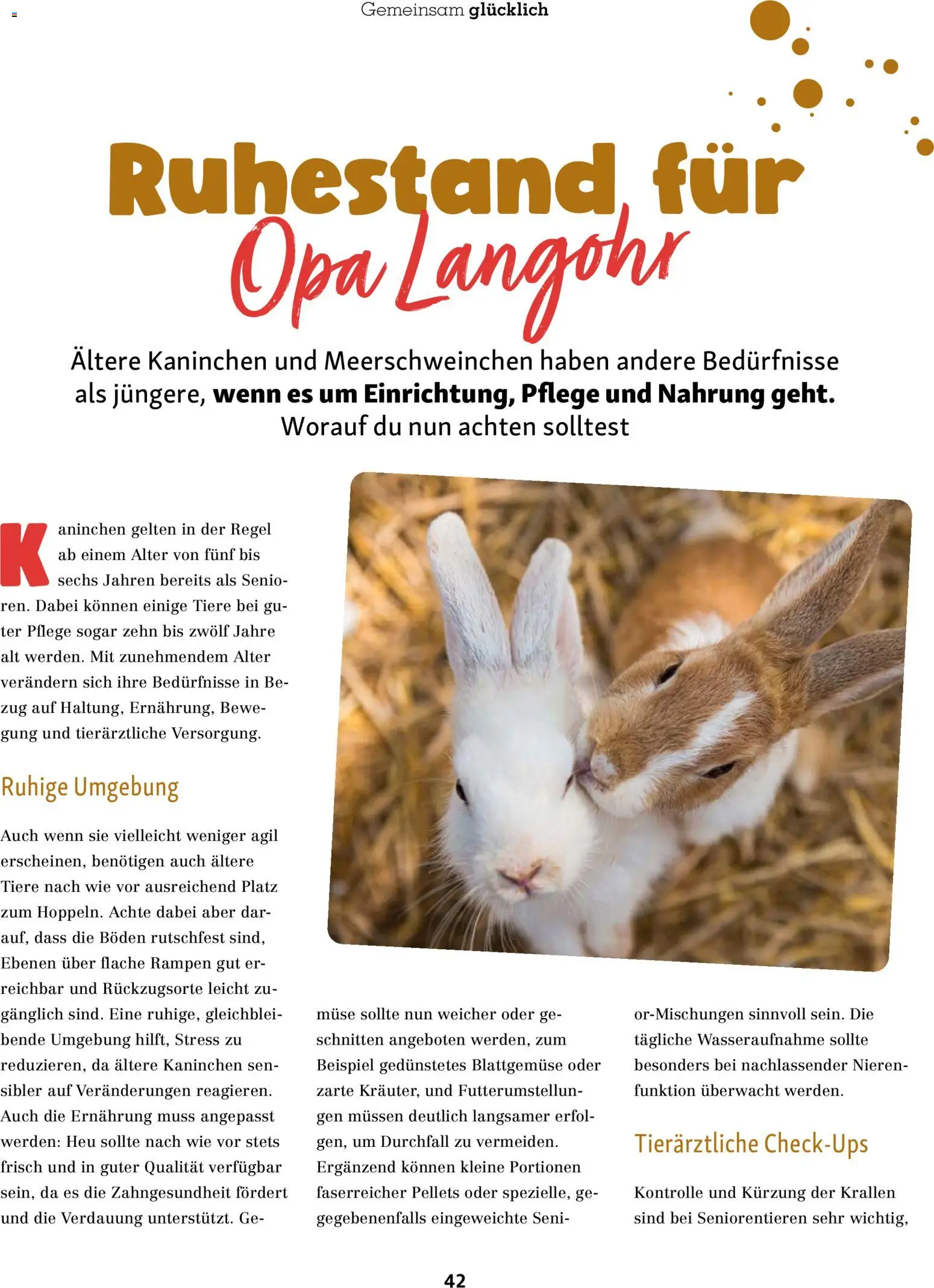 Fressnapf Friends Magazin – gültig ab 01.09.2026 | Seite: 42 | Produkte: Kaninchen