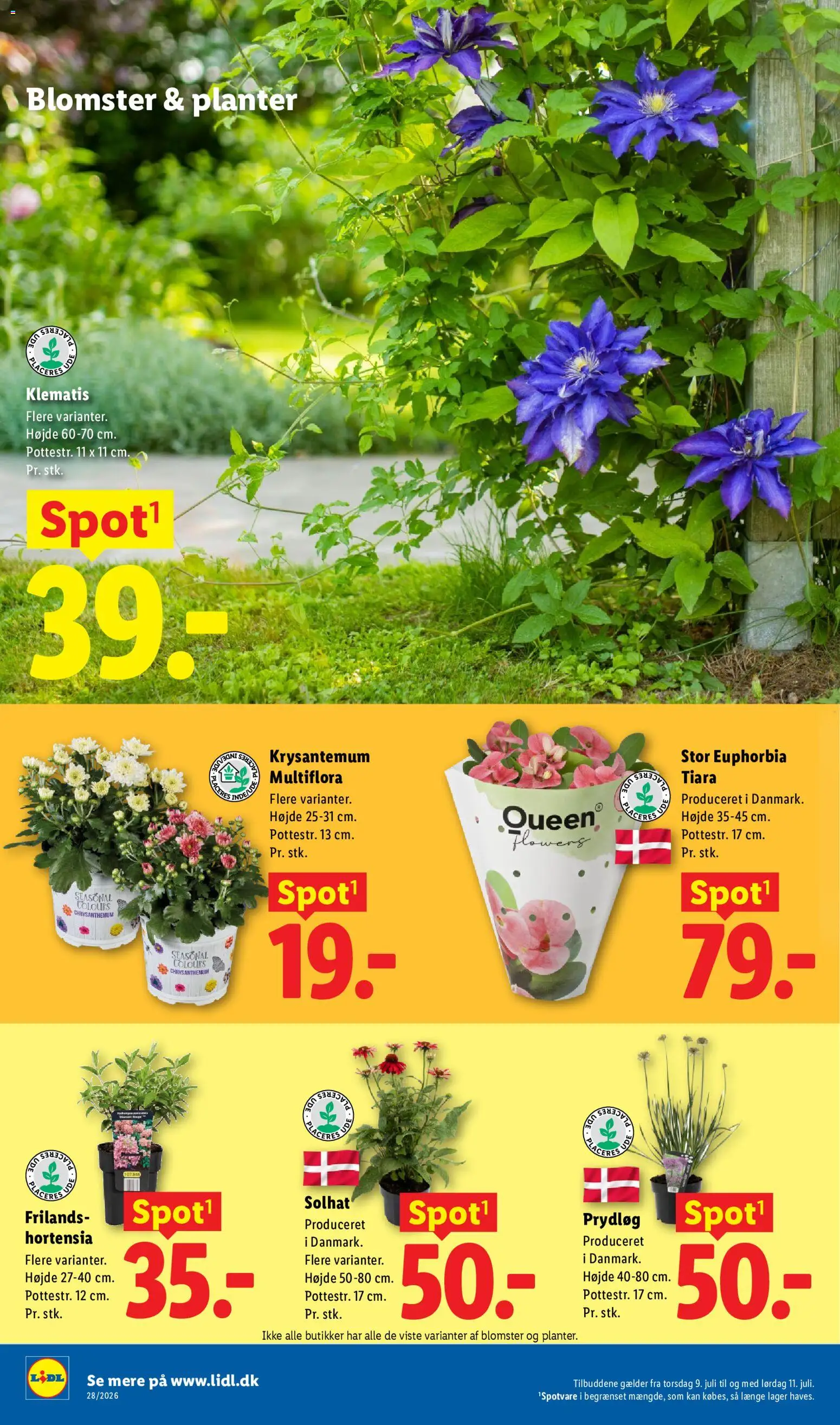 Lidl tilbudsavis – gyldig fra 05/07/2026 | Side: 35