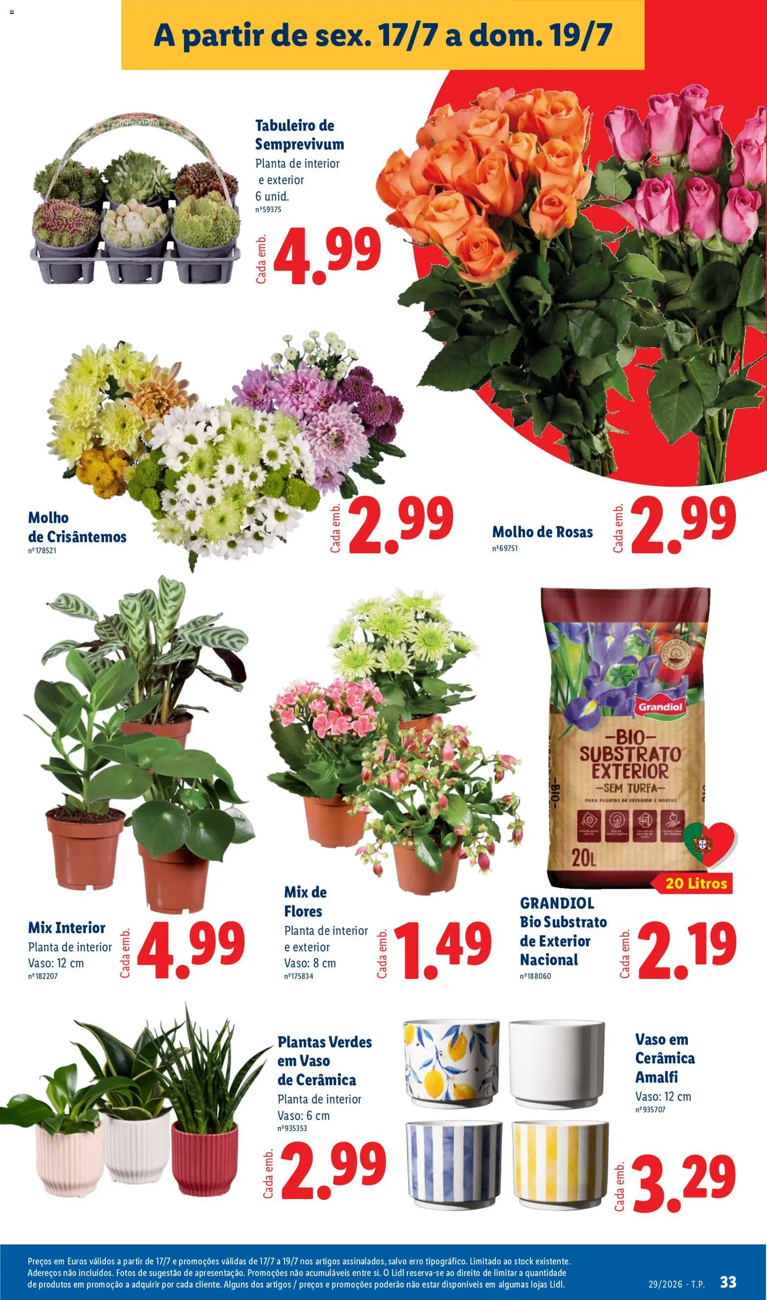 Lidl folheto │ válido de 13/07/2026 | Página: 31 | Produtos: Substrato, Flores, Turfa, Vaso