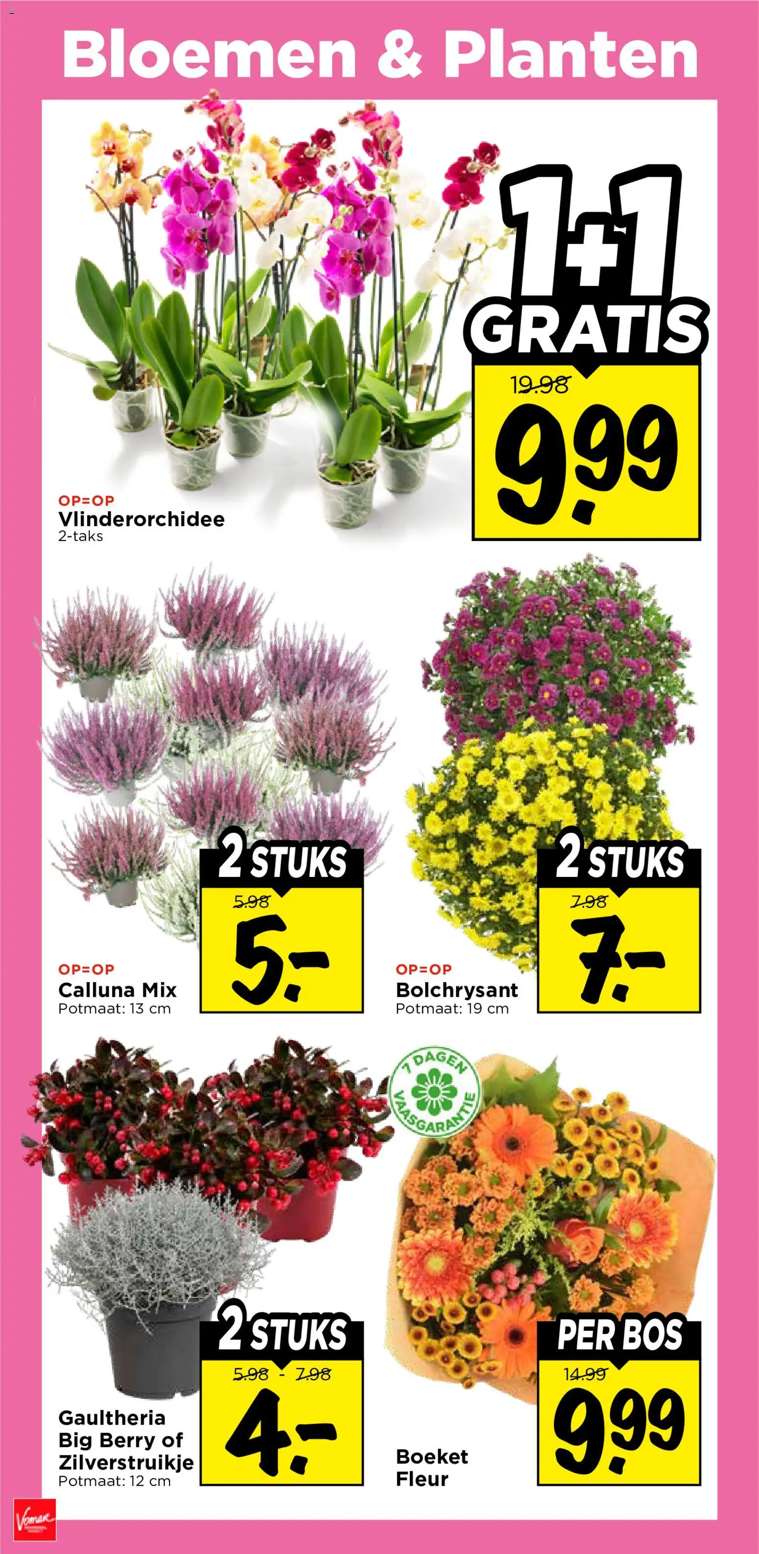 {H1} | Pagina: 36 | Producten: Bloemen