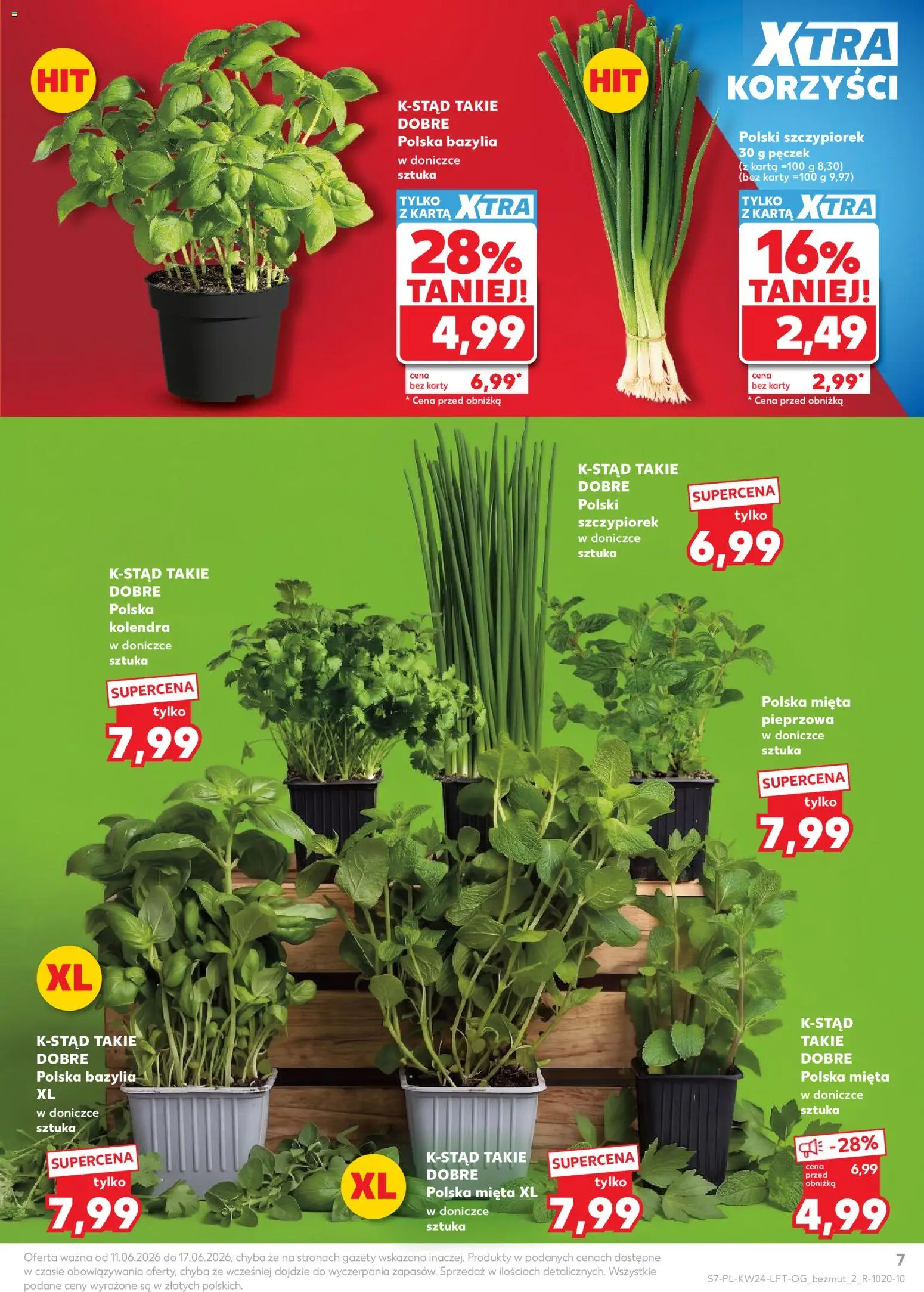 Kaufland gazetka od 11.06.2026 | Strona: 7 | Produkty: Karta, Mięta, Bazylia, Mięta w doniczce