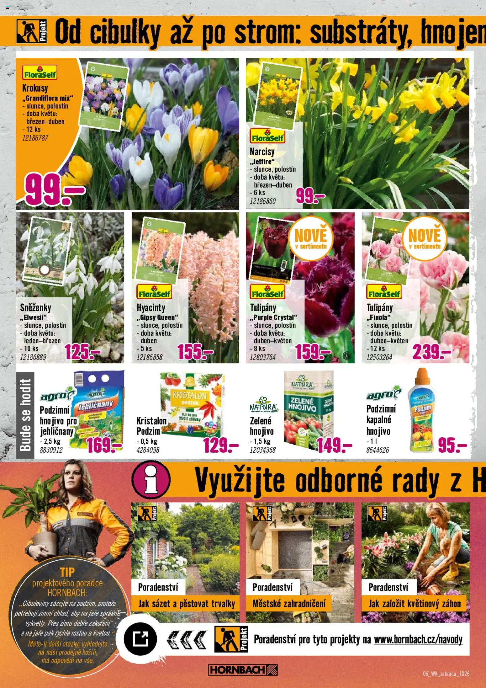 HORNBACH leták - Podzimní zahrada od 07.10.2026 | Strana: 6 | Produkty: Tulipány, Hnojivo