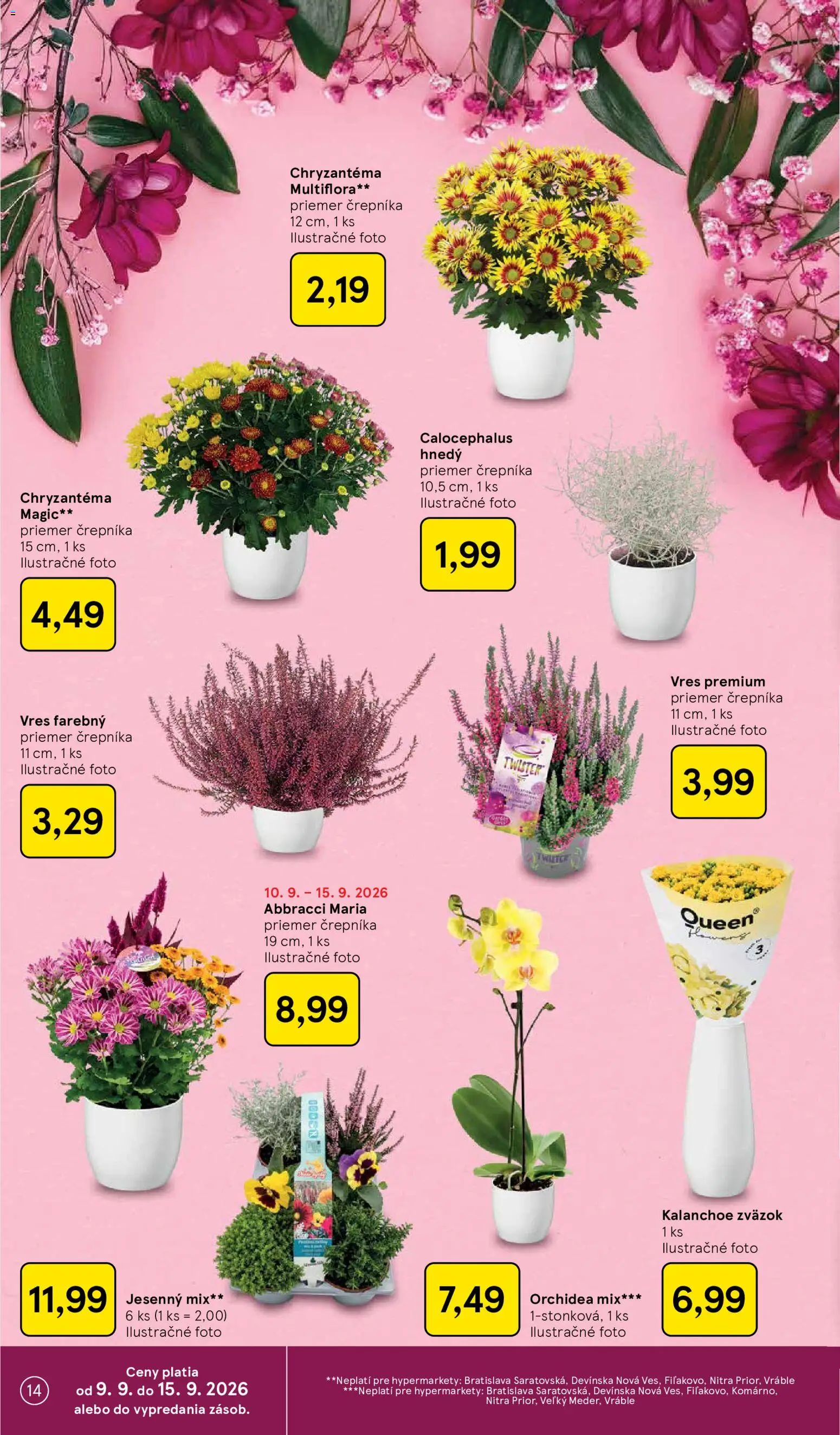 Nové Tesco akcie – leták je platný od 09.09.2026 | Strana: 14