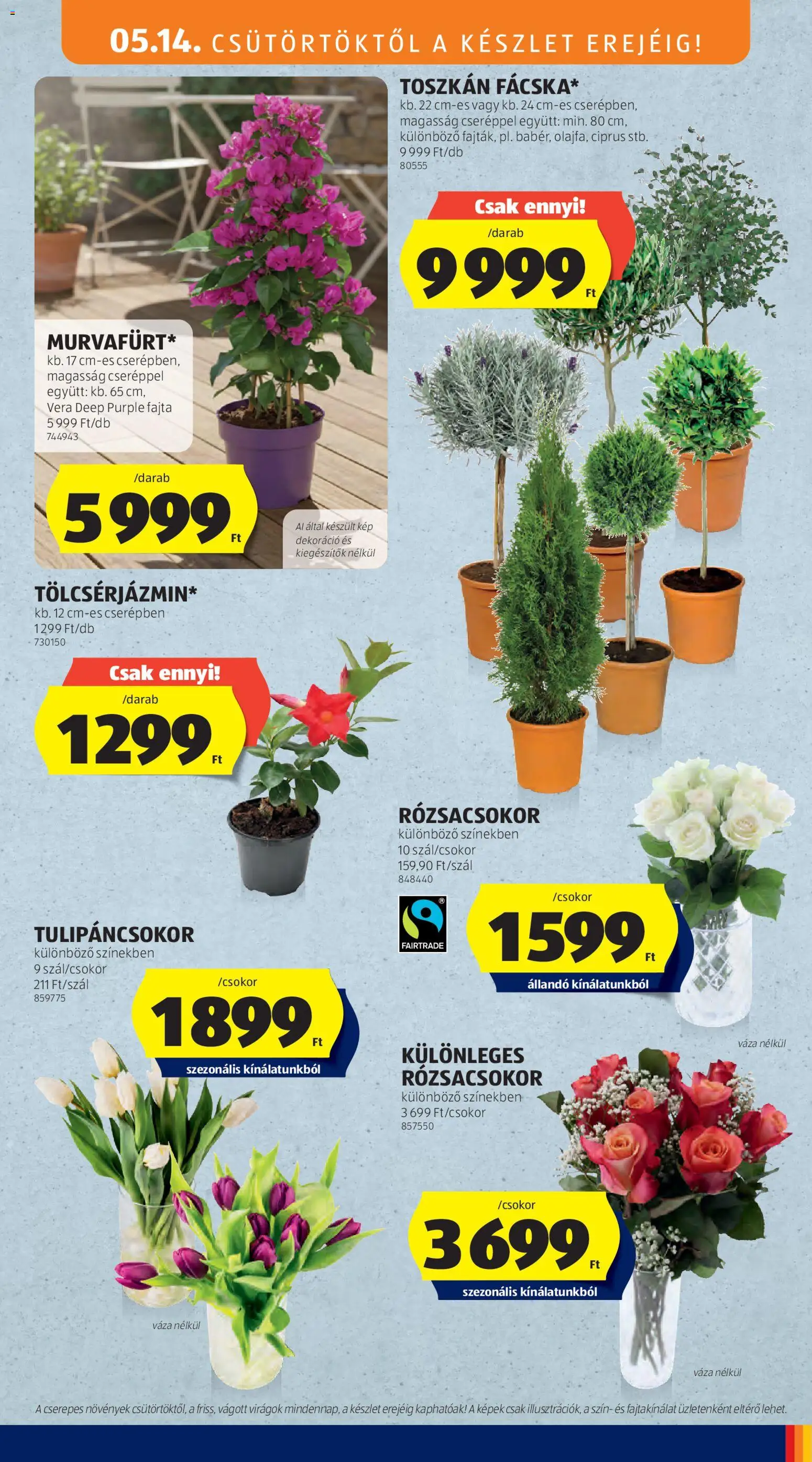 Aldi akciós ujság - amely érvényes a következő dátumtól: 14.05.2026 | Oldal: 29 | Termékek: Virágok, Váza, Dekoráció