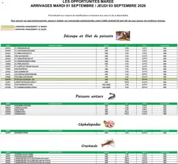 Promocash - Prévisualisation de Promocash Opportunités Marée valide à partir de 01/09/2026