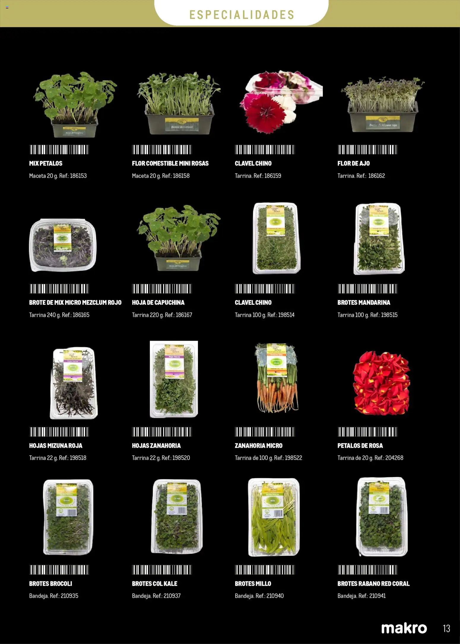Makro - Especial Frutas y Verduras Canarias │ válido desde el 05.01.2026 | Página: 13 | Productos: Σφουγγαρίστρα, Zanahoria, Maceta