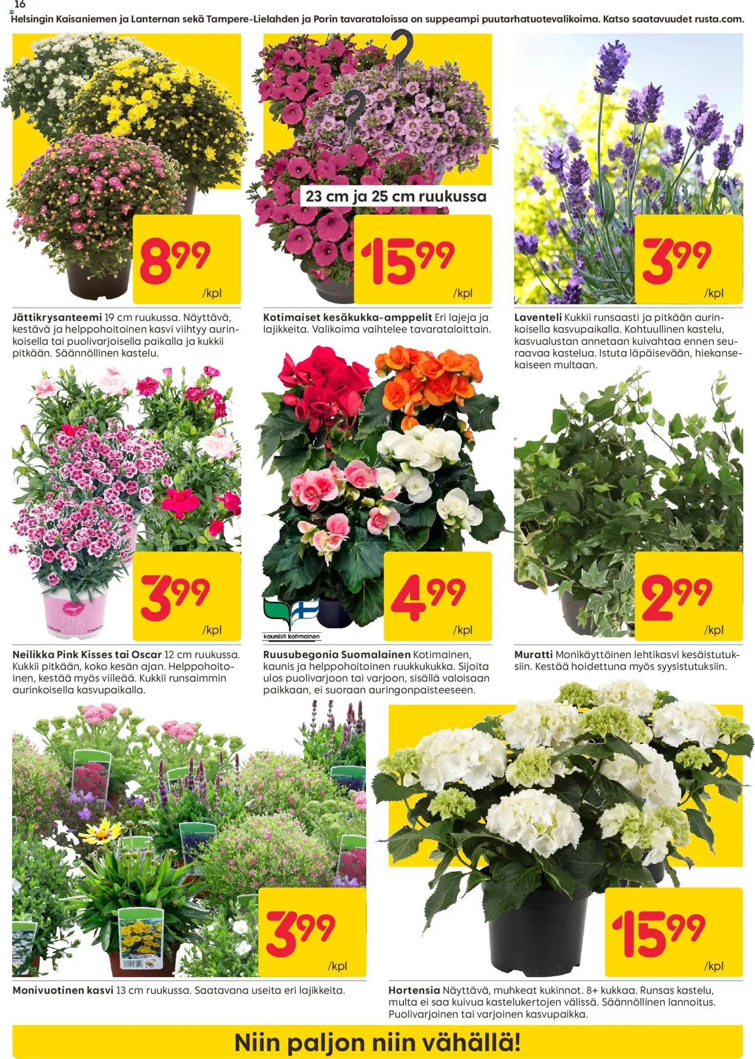 Rusta tarjoukset – voimassa 22/06/2026 alkaen | Sivu: 16