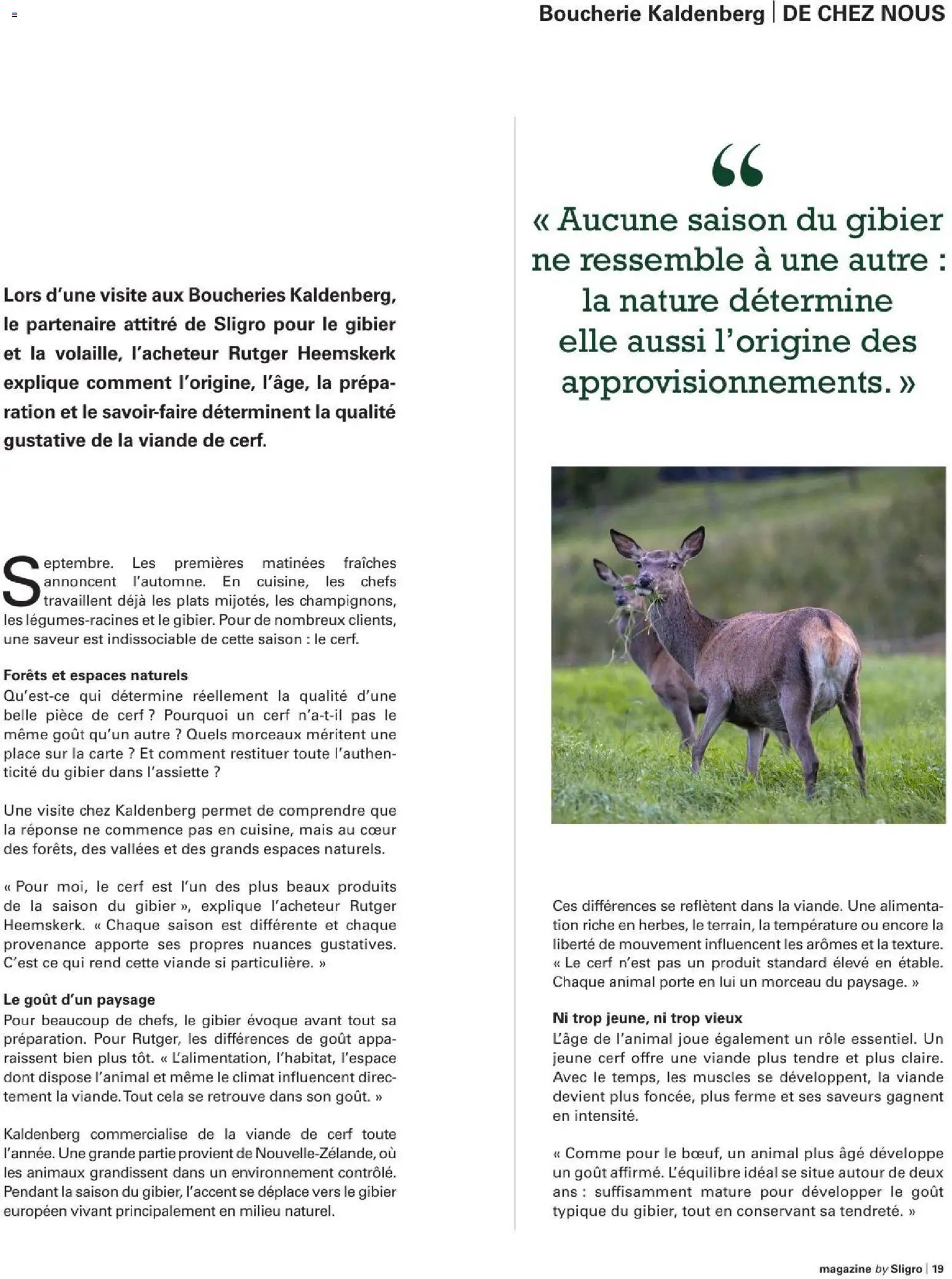 {H1} | Pagina: 19 | Producten: Maïs, La
