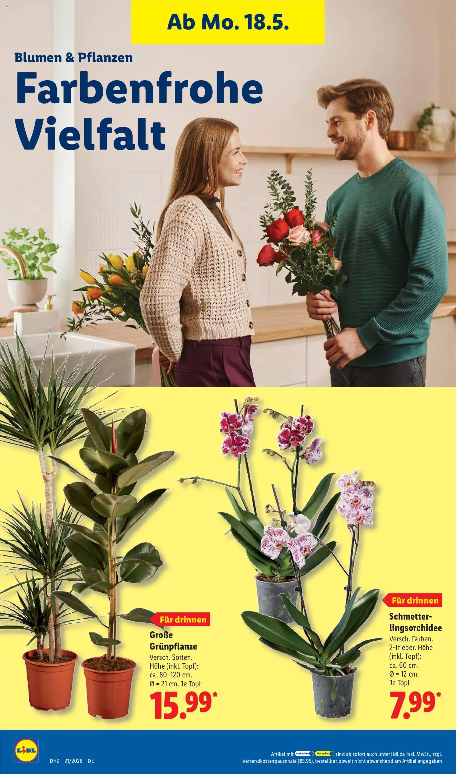 Lidl Prospekt – gültig ab 18.05.2026 | Seite: 70 | Produkte: Blumen