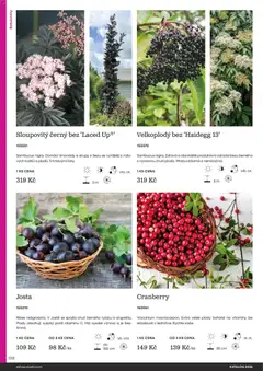 Náhled letáku Starkl katalog od 25.02.2026 | Strana: 138 | Produkty: Vitamíny