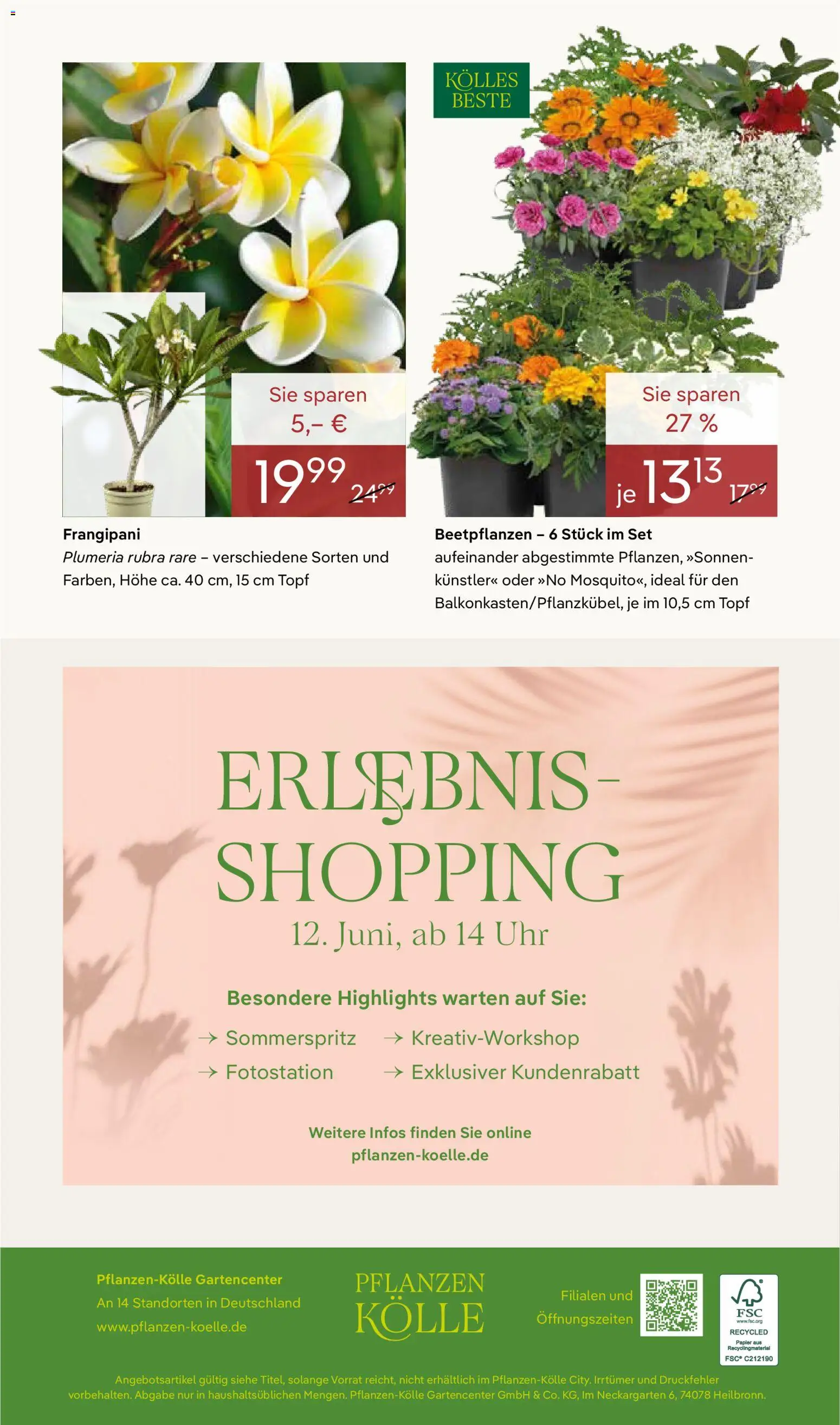 Pflanzen-Kölle Prospekt – gültig ab 26.05.2026 | Seite: 10 | Produkte: Uhr