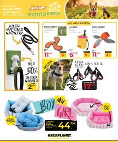 Anteprima del volantino Arcaplanet volantino valido a partire dal 23.04.2026 | Pagina: 31 | Prodotti: Tè, Gioco, Borsa