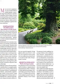 Pogląd oferty "Hebe gazetka - Magazyn" - ważna od 01.05.2026 | Strona: 157 | Produkty: Gry, Róż, Piwo