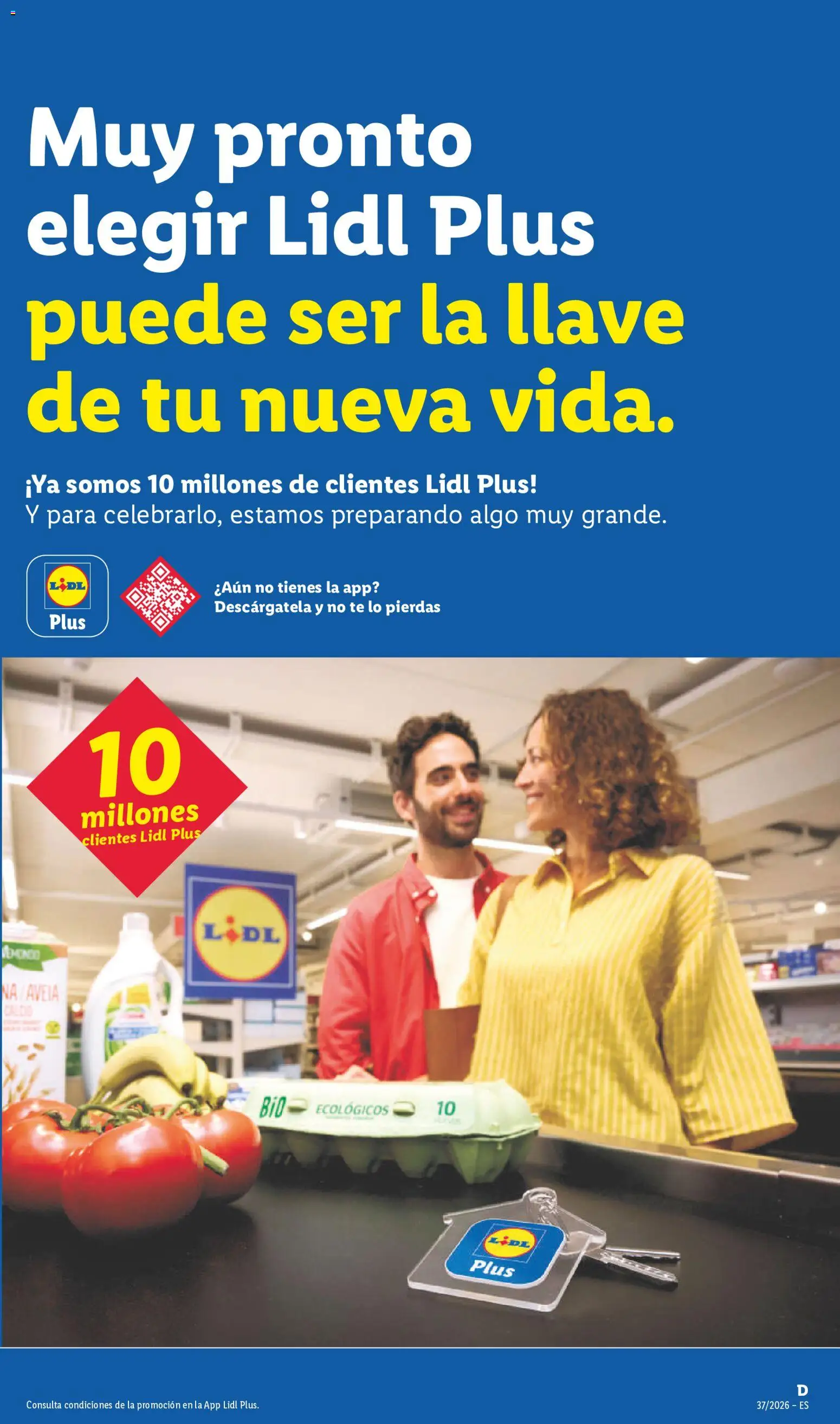 Lidl folleto │ válido desde el 07/09/2026 | Página: 29 | Productos: Té