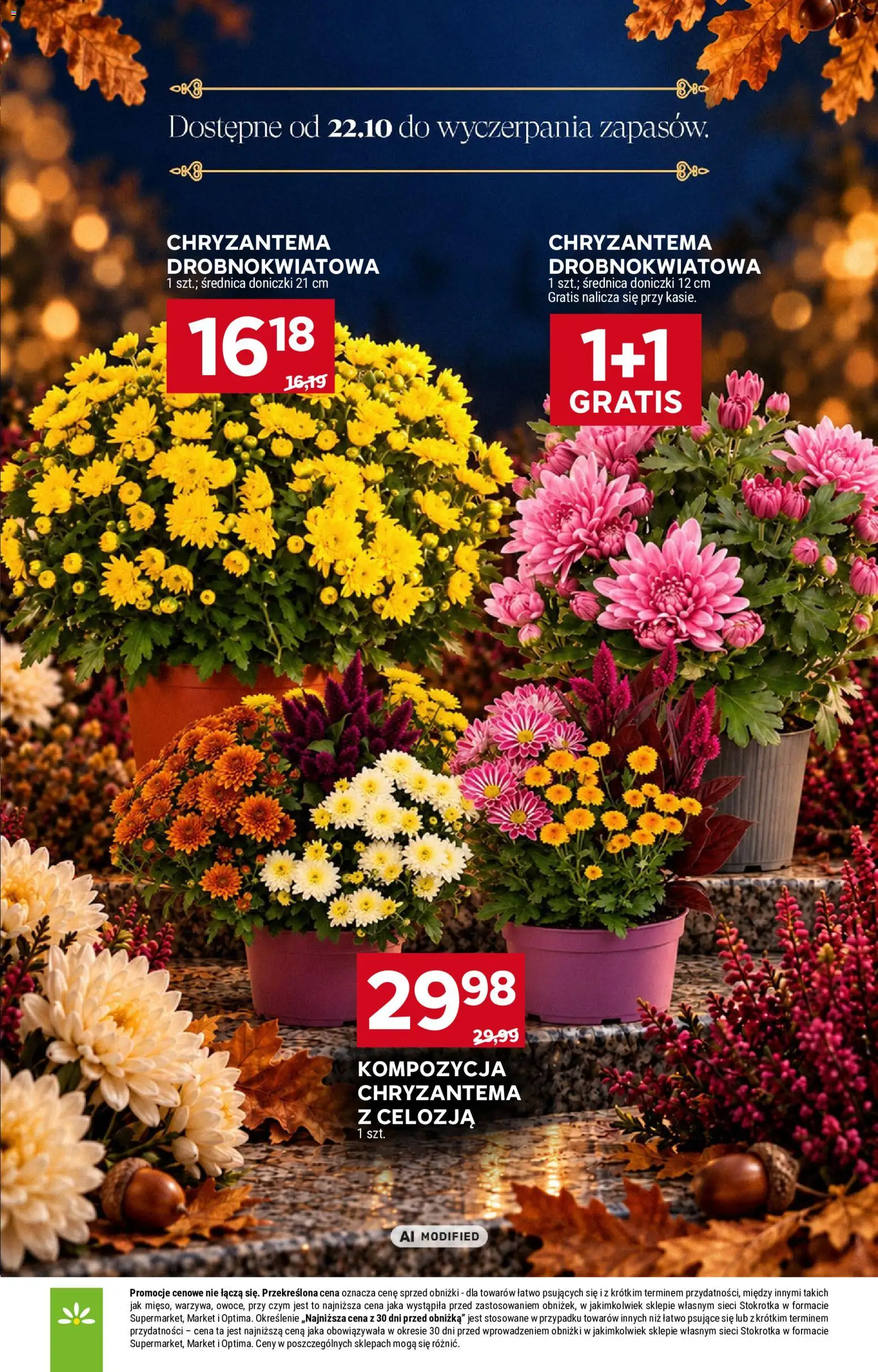 Stokrotka gazetka - Katalog Znicze od 29.10.2026 | Strona: 16 | Produkty: Stokrotka, Doniczki