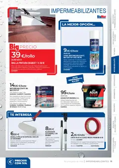 Vista previa BigMat - Pintura 2026 válido desde el 20.04.2026 | Página: 11 | Productos: Té