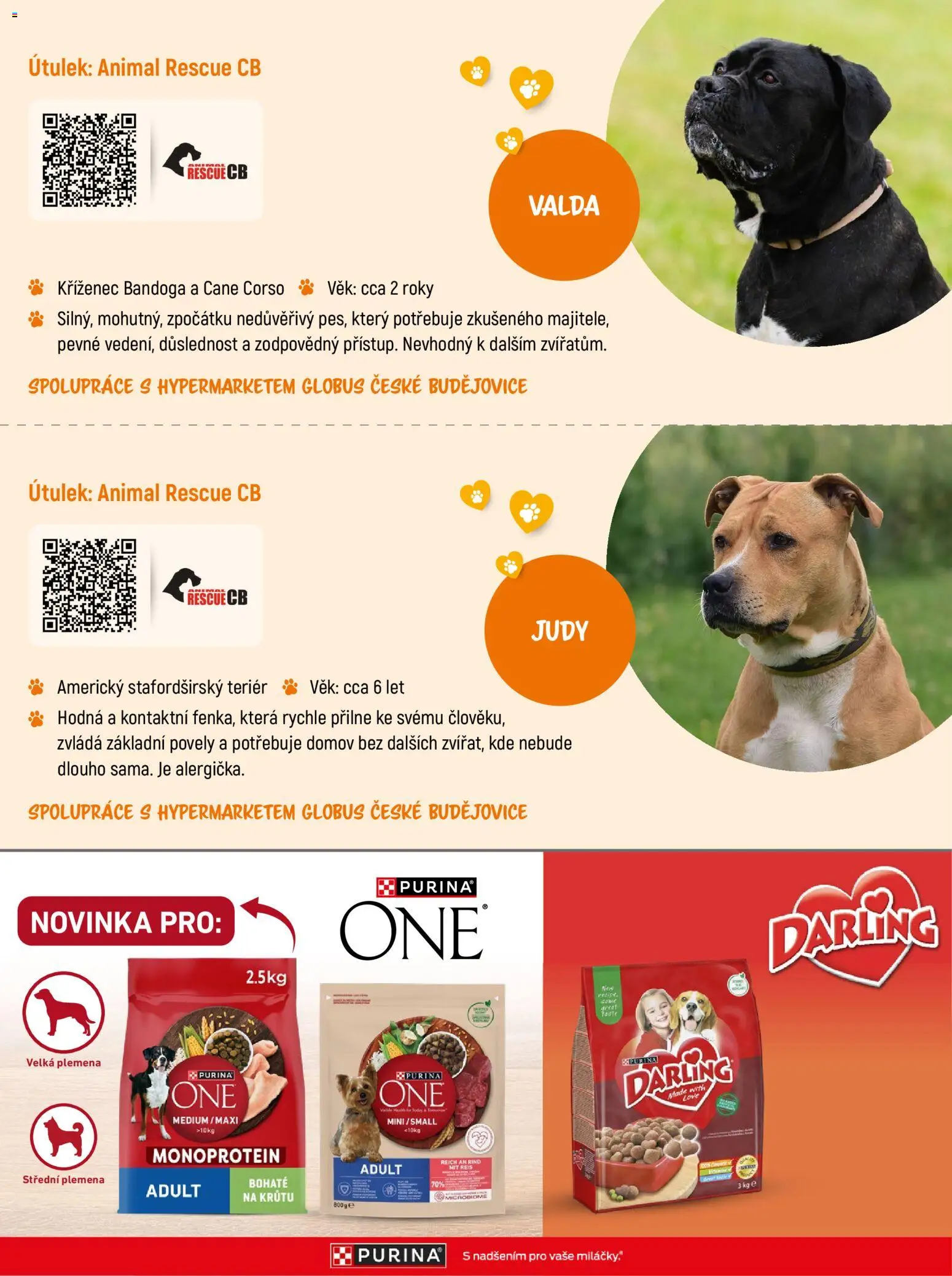 Globus leták - Darujte druhou šanci od 07.09.2026 | Strana: 11 | Produkty: Globus, Purina, Darling