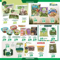 Anteprima del volantino Elite Supermercati volantino valido a partire dal 31/07/2026 | Pagina: 17