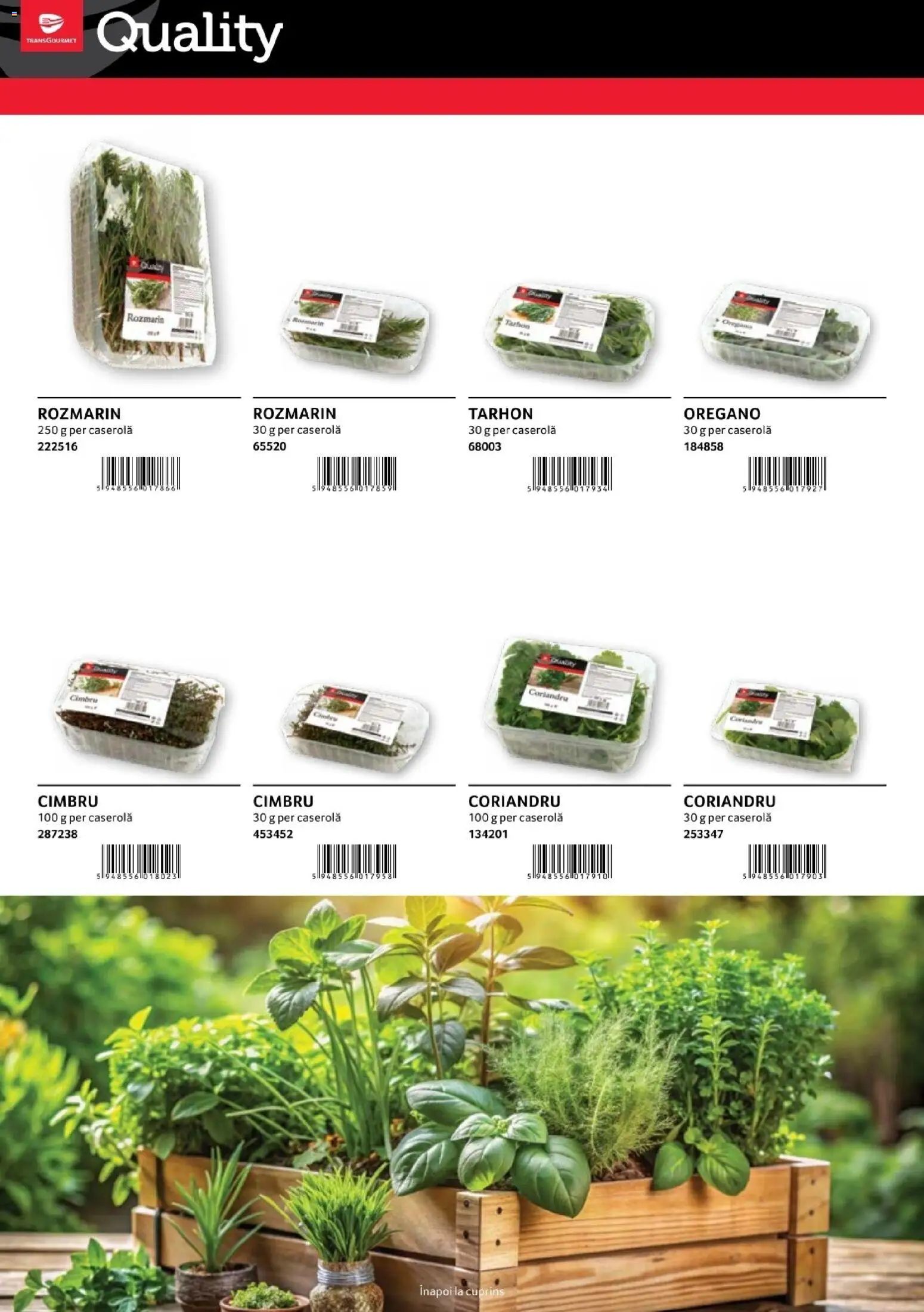 Noul catalog Selgros – valabil de la 30.01.2026 | Pagină: 30 | Produse: Suc, Mere, Portocale