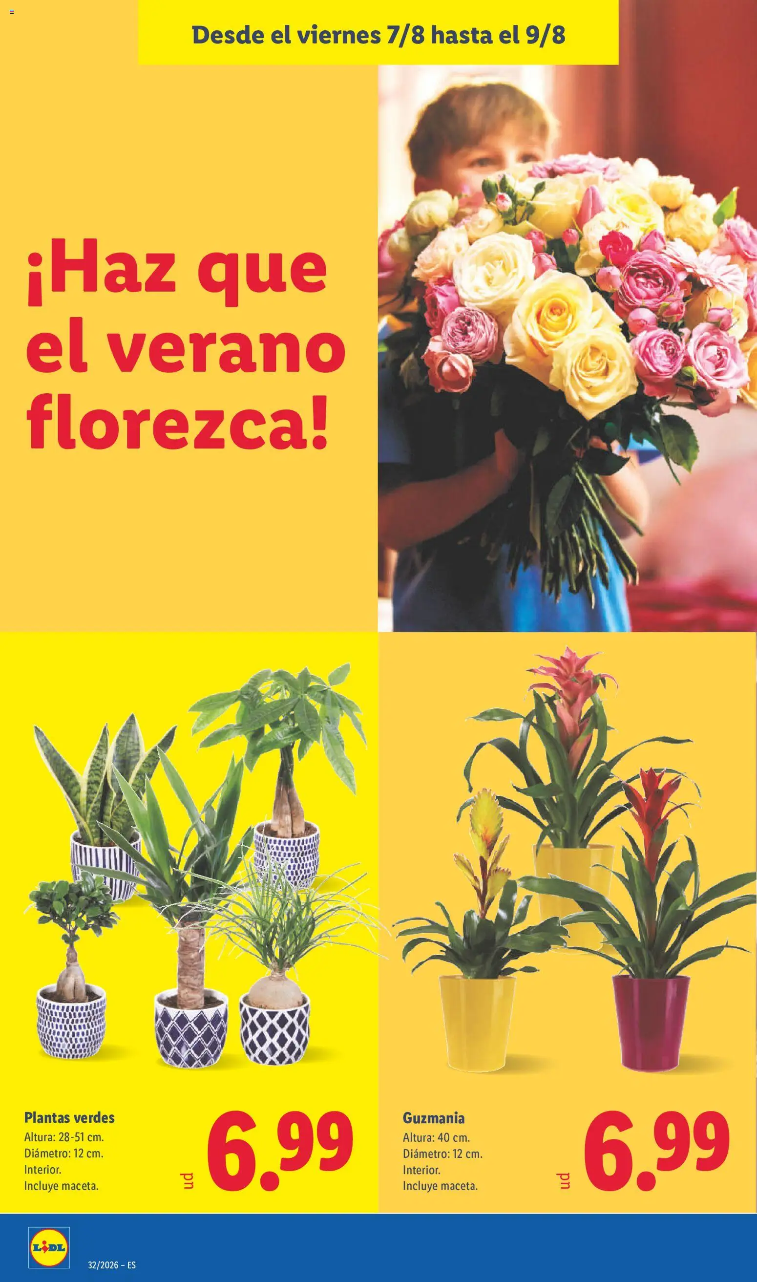Lidl folleto │ válido desde el 03/08/2026 | Página: 58