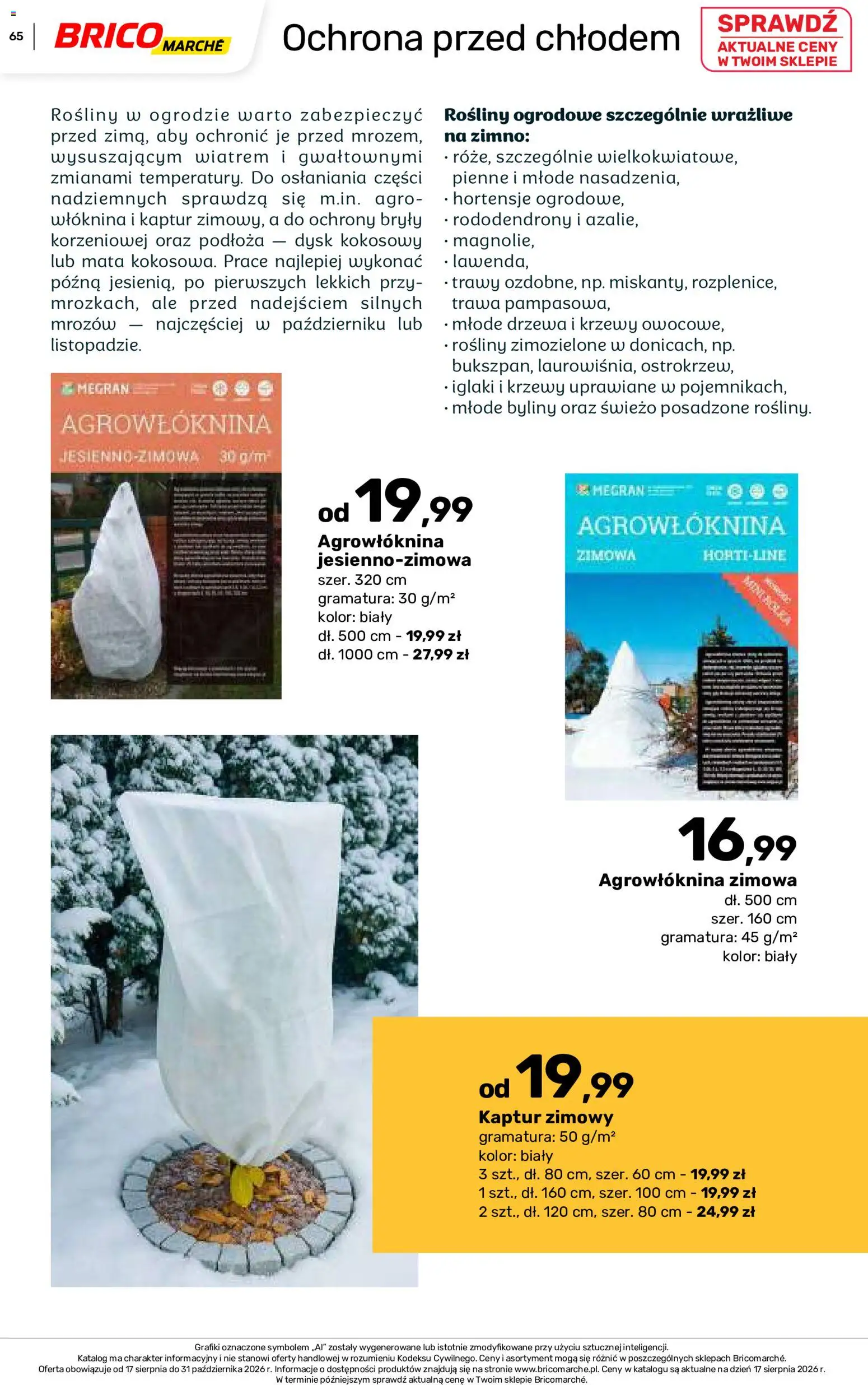 Brico Marché gazetka - Jesienne Inspiracje od 17.08.2026 | Strona: 65 | Produkty: Trawy, Dysk, Rosliny