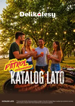 Pogląd oferty "Delikatesy Centrum gazetka - Lato" - ważna od 02.07.2026