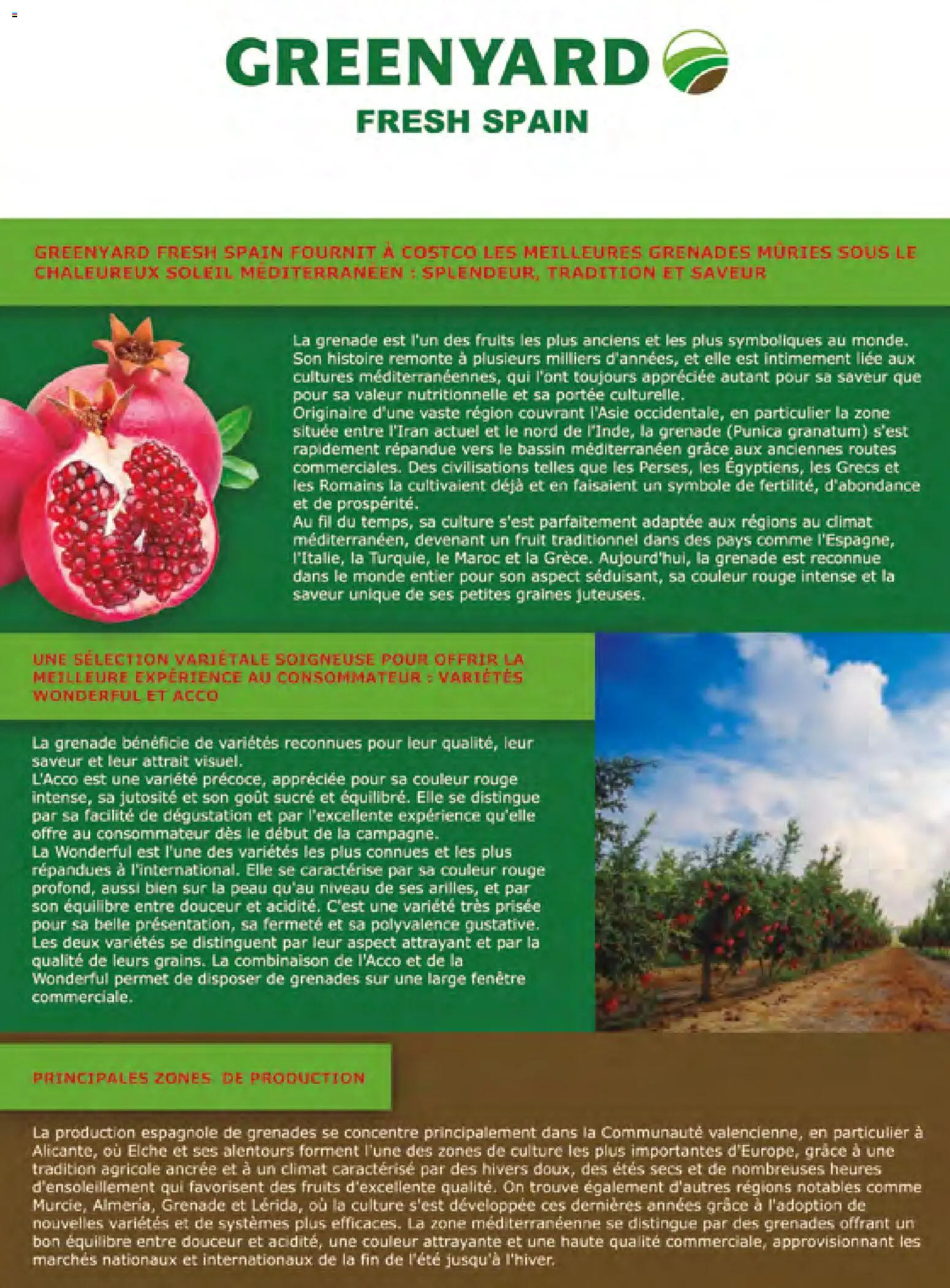 {H1} | Page: 142 | Produits: Graines, Grenade, Fruits, Combinaison