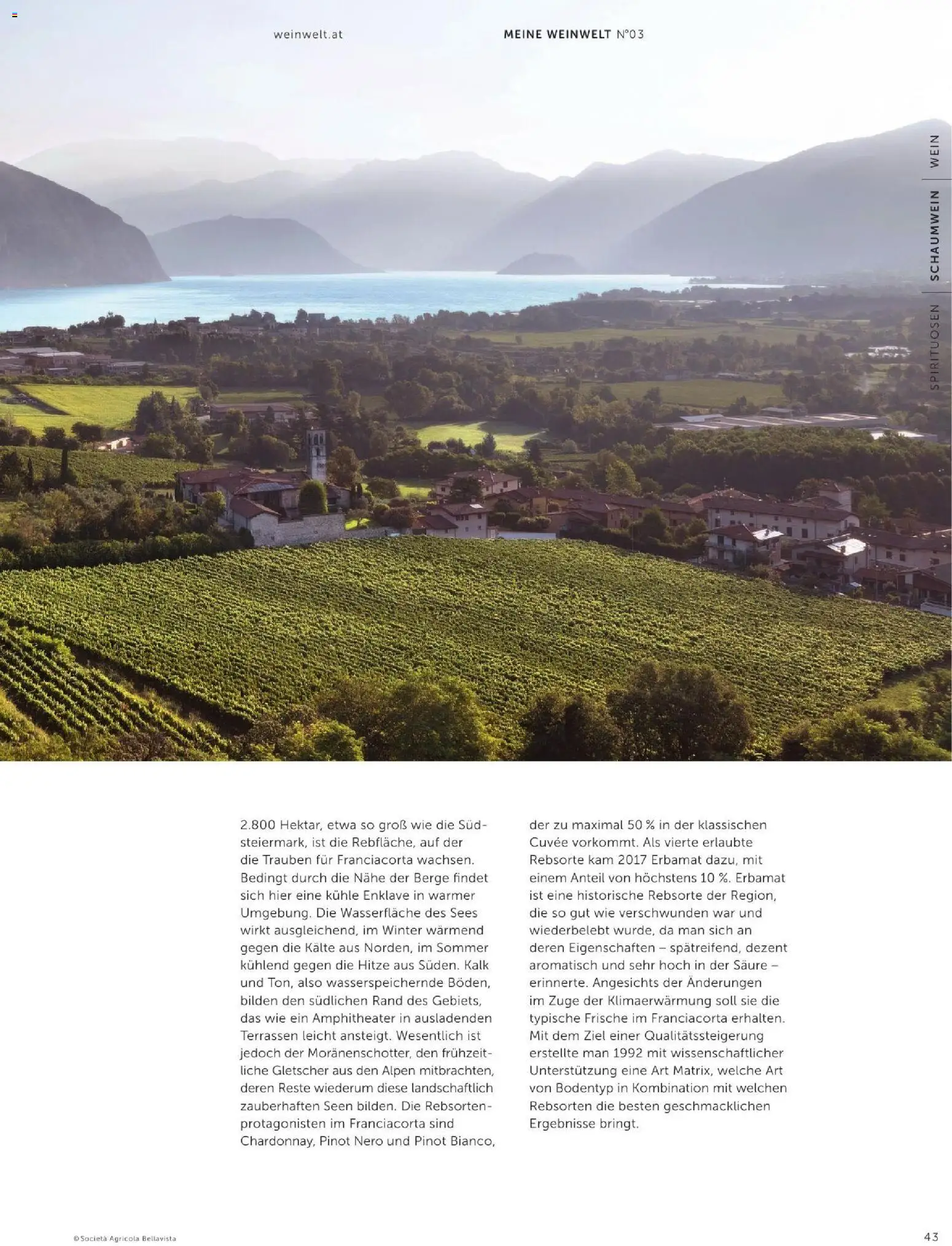 Interspar Wein Welt gültig ab 08.09.2026 | Seite: 43 | Produkte: Wein