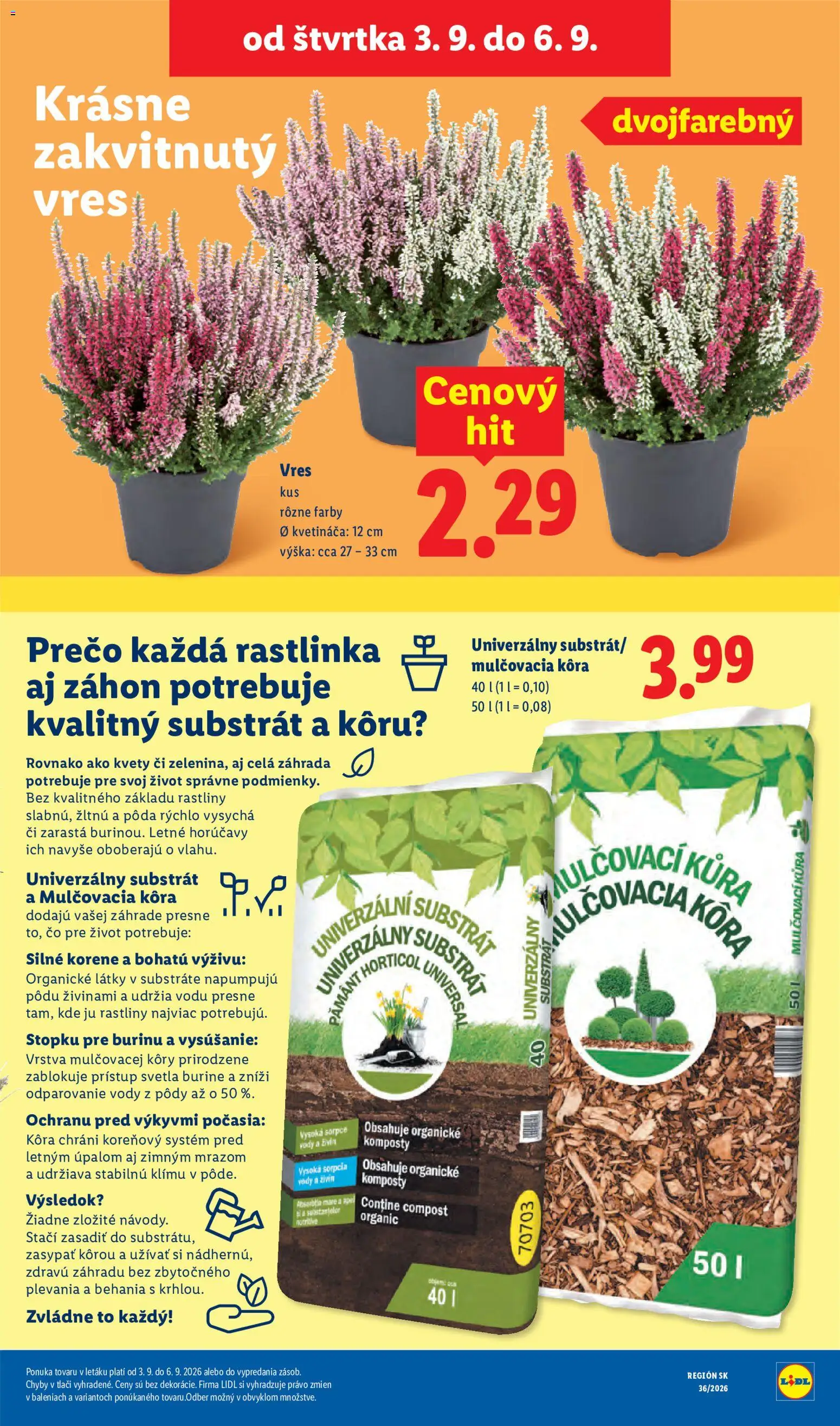 Nové Lidl akcie – leták je platný od 31.08.2026 | Strana: 91