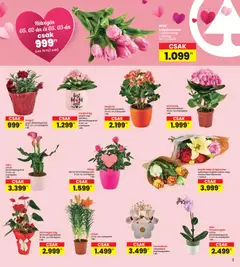 Interspar akciós újság - amely érvényes a következő dátumtól: 30.04.2026 | Oldal: 3
