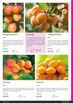 Náhled letáku Starkl katalog od 25.02.2026 | Strana: 125 | Produkty: Meruňky