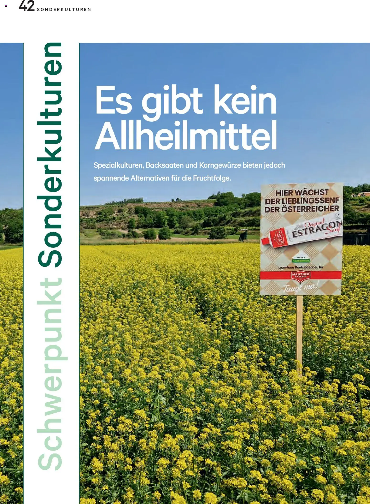 Lagerhaus Unser Land Juni 2026 gültig ab 01.06.2026 | Seite: 42