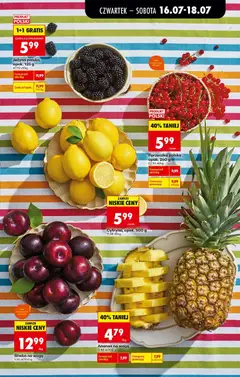Pogląd oferty "Cytryna, Cytryna, opak. 500 g" - ważna od 16.07.2026 | Strona: 25 | Produkty: Cytryna, Porzeczka, Ananas