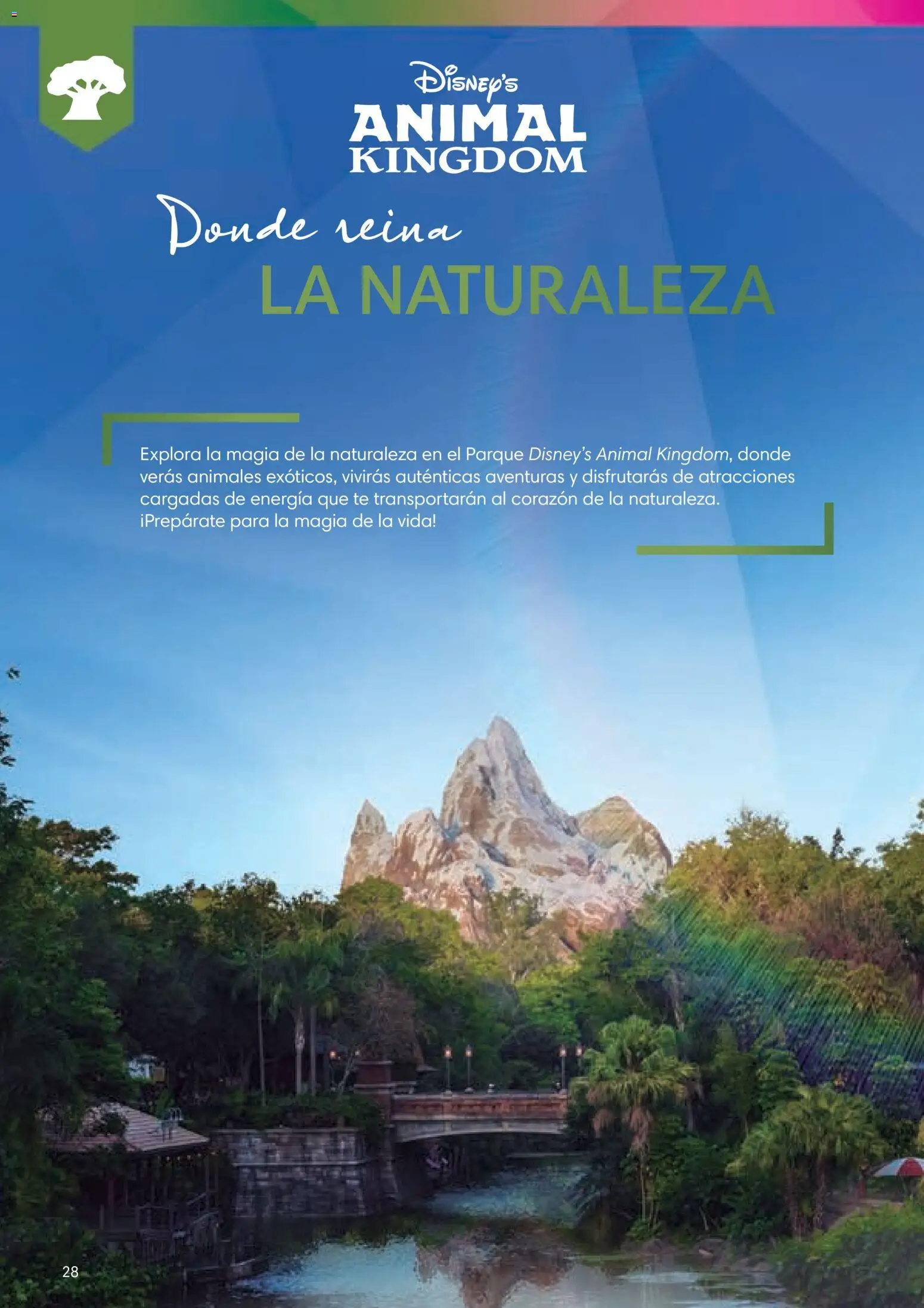 Viajes El Corte Inglés Folleto Walt Disney World │ válido desde el 03/12/2025 | Página: 28 | Productos: Té