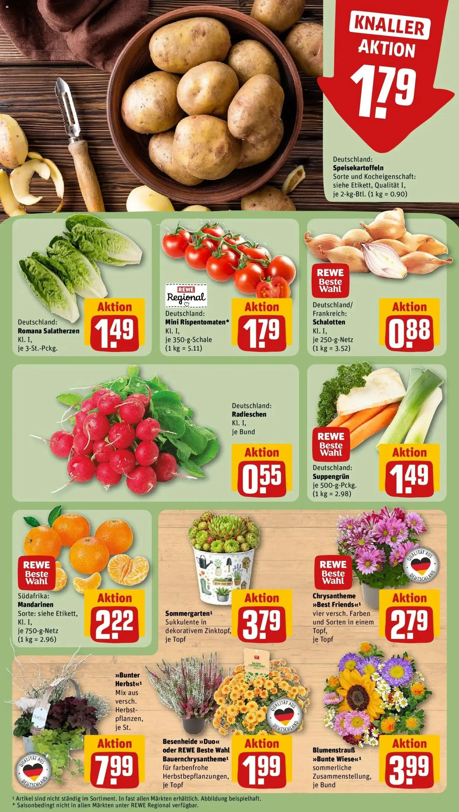 REWE Prospekt ab 07.09.2026 zum Blättern » Angebote | Seite: 7 | Produkte: Mandarinen