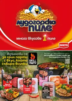 Преглед на Билла брошура - Качество за фенове - Офертите са валидни от 25.06.2026 | Страница: 2 | Продукти: Black angus, Сос, Грил, Пилешко