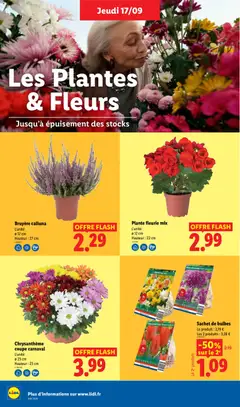 LIDL - Prévisualisation de LIDL catalogue valide à partir de 17/09/2026 | Page: 28