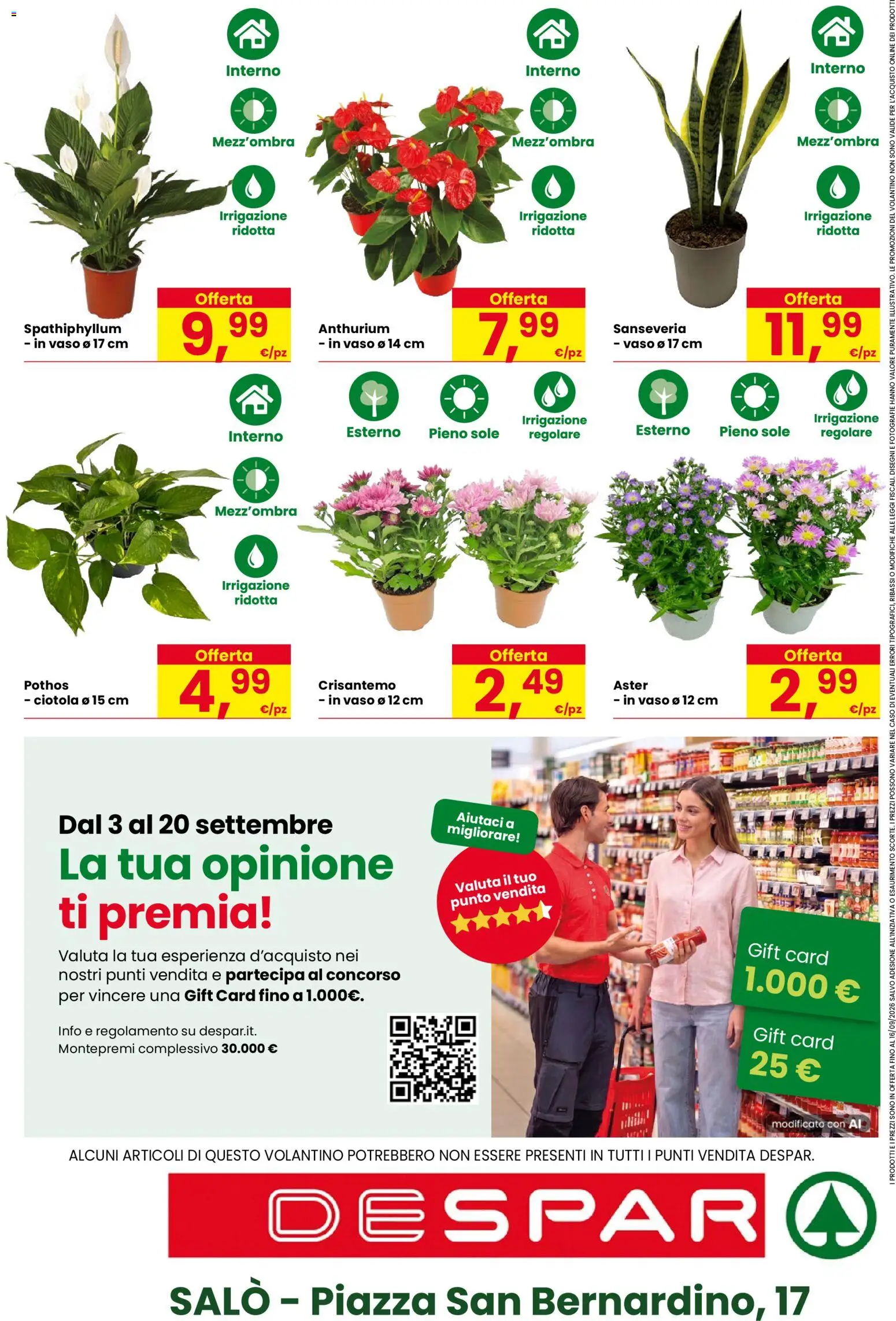 Volantino Despar del 03/09/2026 | Pagina: 16 | Prodotti: Ciotola, Vaso