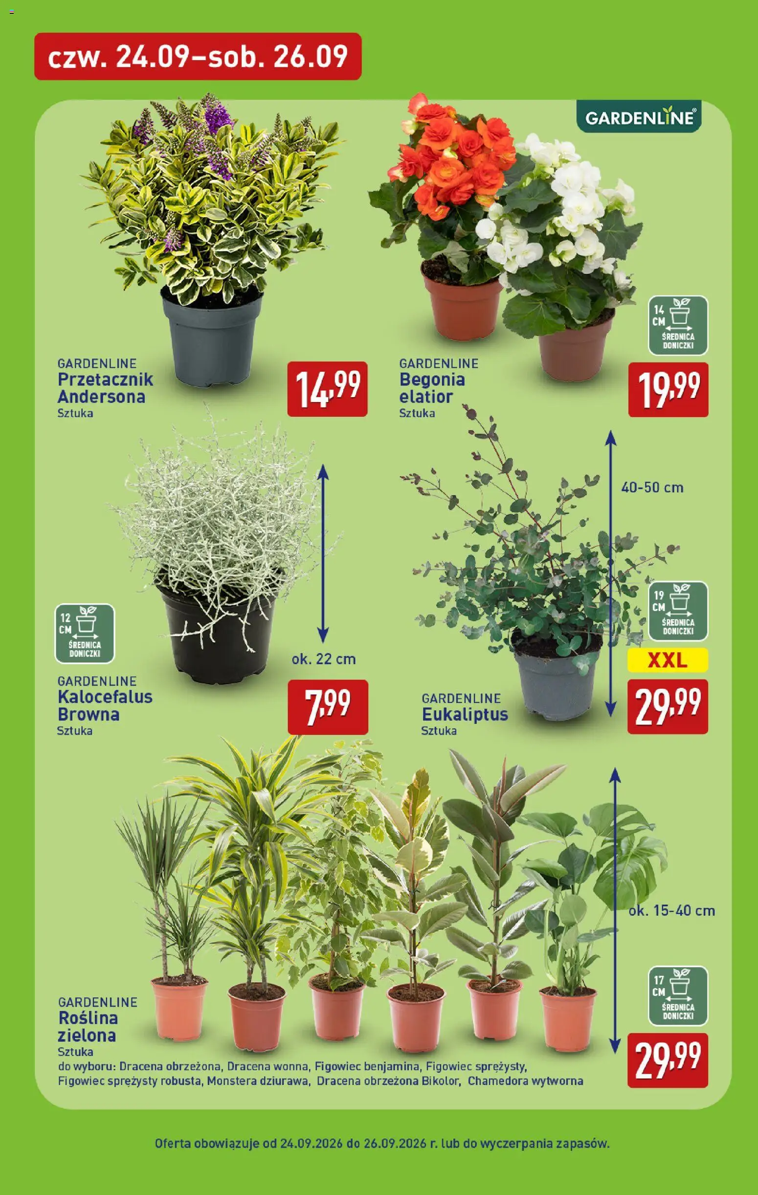 Aldi Polsko leták od 21.09.2026 | Strana: 39