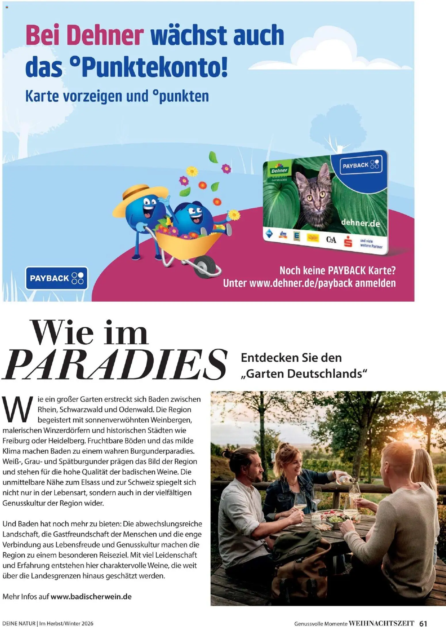 Dehner Prospekt – gültig ab 09.10.2026 | Seite: 61