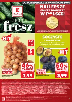 Pogląd oferty "Polskie śliwki podłużne, Polskie śliwki podłużne luzem 1 kg" - ważna od 24.09.2026 | Strona: 67