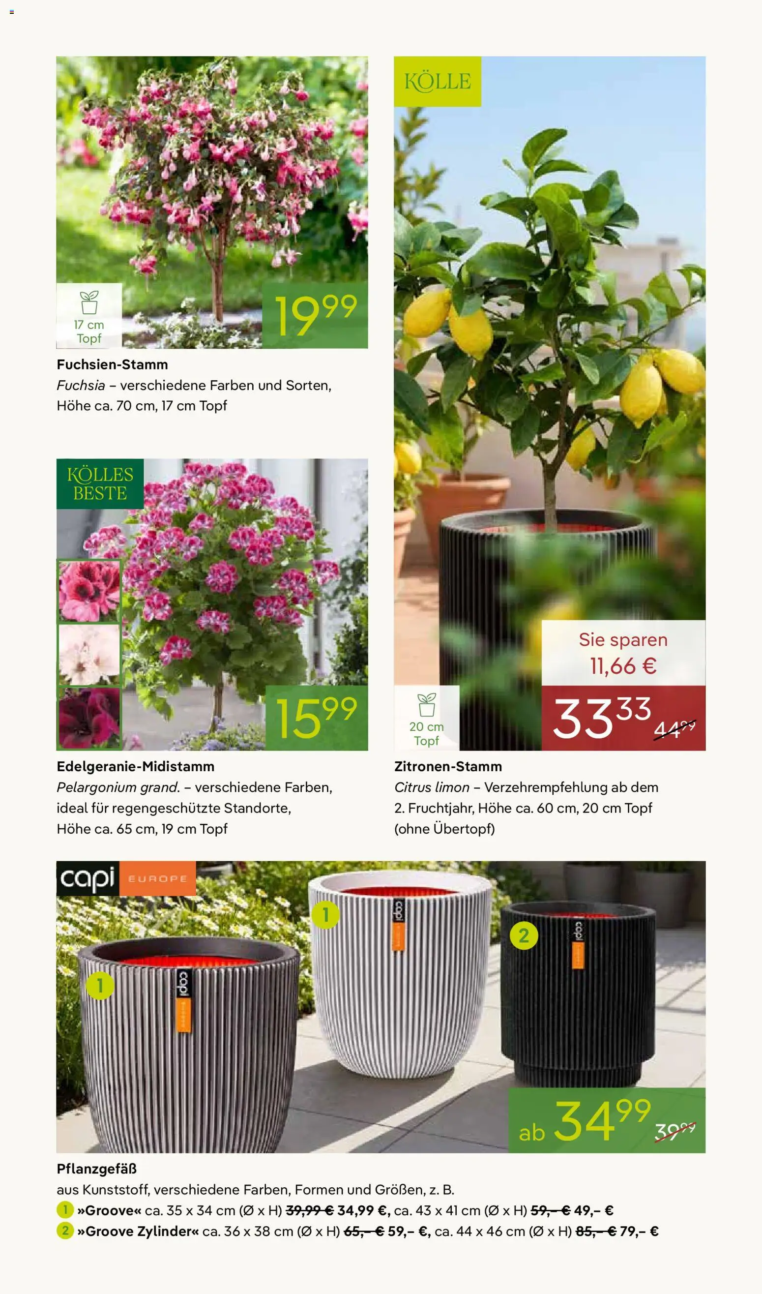 Pflanzen-Kölle Prospekt 	 – gültig ab 04.05.2026 | Seite: 5