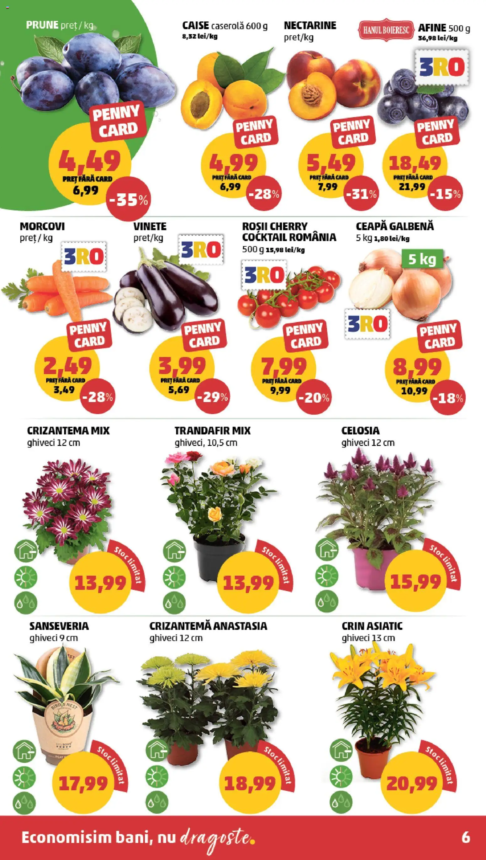 Noul catalog PENNY – valabil de la 19.08.2026 | Pagină: 6 | Produse: Afine, Caserola, Ceapă galbenă, Roșii