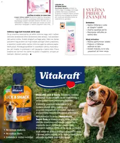 Müller katalog akcije – veljaven od 29.09.2026 | Stran: 37 | Izdelki: Med, Robčki, Spodnje perilo