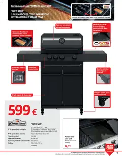 Vista previa Bauhaus Barbacoas válido desde el 15.05.2026 | Página: 9 | Productos: Parrilla, Plancha, Termómetro, Almacenaje