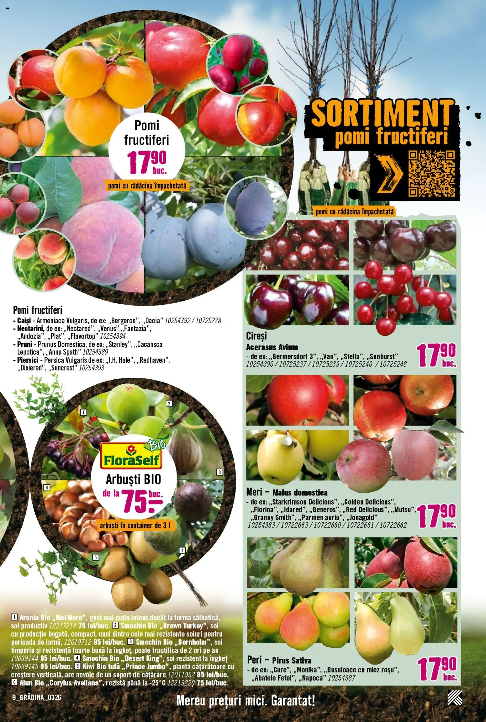 Noul catalog Hornbach – valabil de la 23.03.2026 | Pagină: 9 | Produse: Şerit ödül, Kiwi